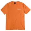 Ageless Galaxy Whatever It Takes POD 012 T-Shirt - Orange