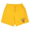 Belief NY Athletic Short - Amber
