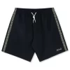 Polar Square Stripe Swim Shorts - Black Jade Green