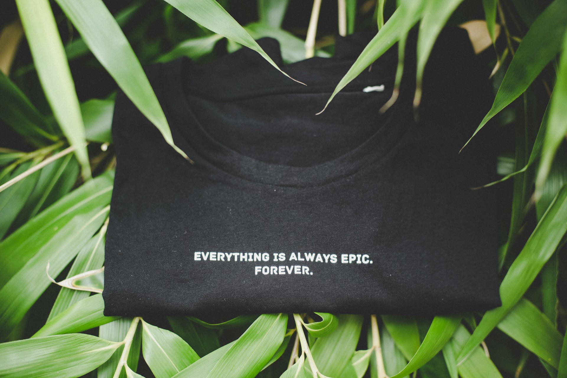 ActiveWear Haven -ActiveWear Haven markus spiske d0Jc4WA1lpo unsplash